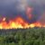 موسم حرائق الغابات لعام 2023 من بين الأسوأ في تاريخ الاتحاد الأوروبي