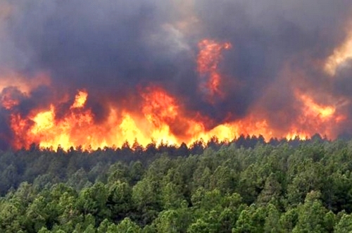 إقليم شفشاون.. اندلاع حريق بغابة “عشاشة تاسيفت” وجهود متواصلة لتطويقه