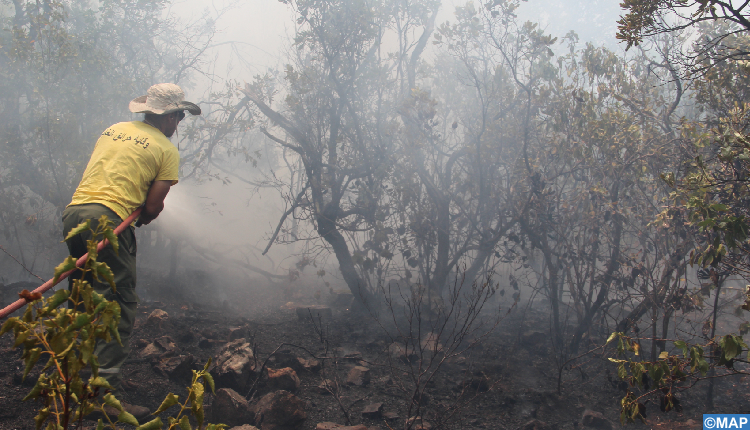 فرق التدخل تكافح النيران وسوء الأحوال الجوية لاحتواء حرائق الغابات بالشمال