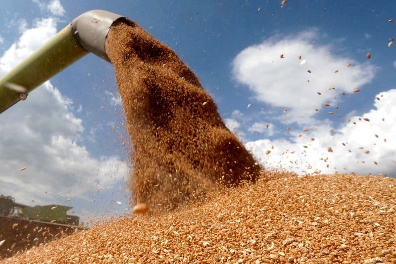 الحكومة تعلن عن تسهيلات جديدة لاستيراد الحبوب والقطاني