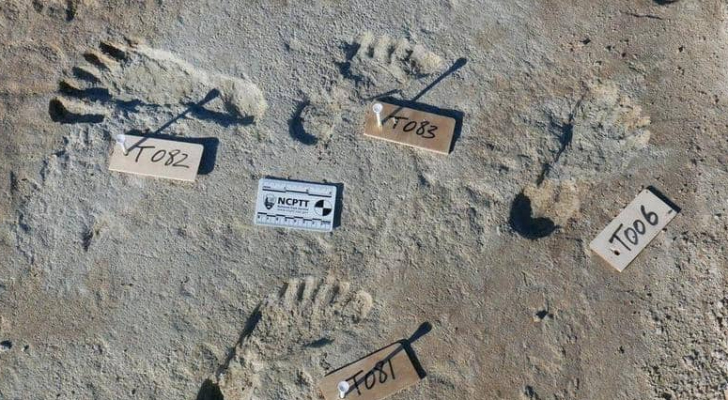 المغرب.. اكتشاف أقدم آثار أقدام بشرية بشمال إفريقيا وجنوب البحر الأبيض المتوسط