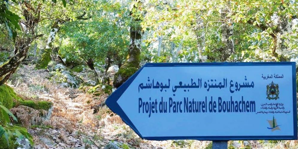 رصد أزيد من 186 مليون درهم لتأهيل المنتزه السياحي بوهاشم بشمال المغرب