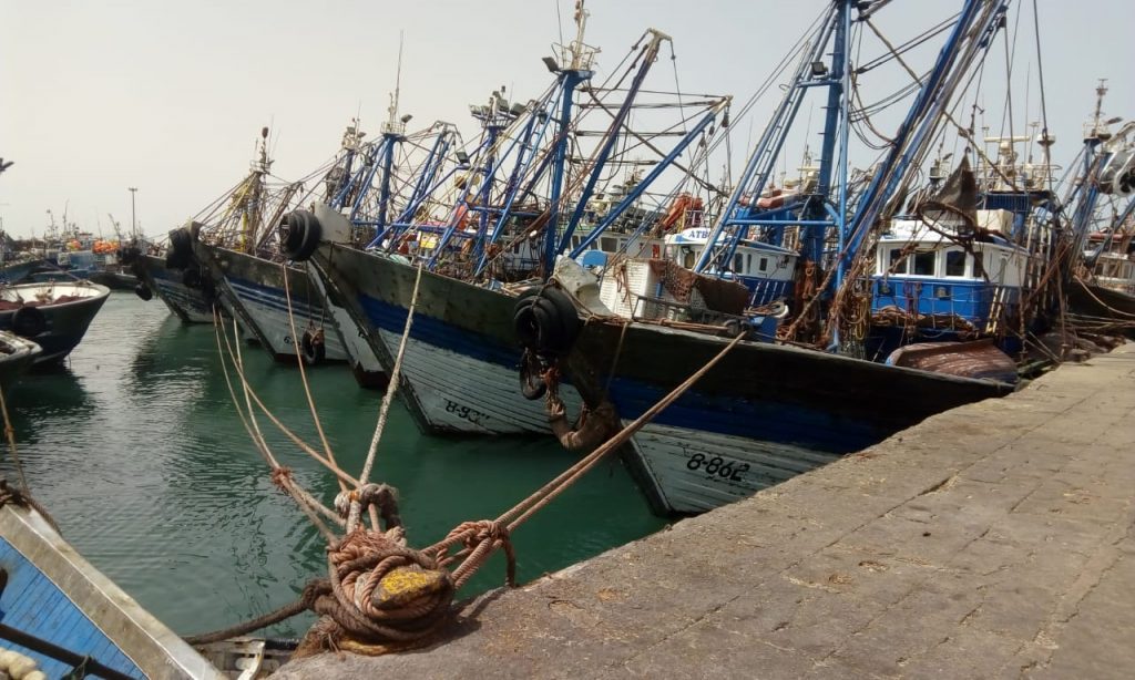 ميناء الداخلة.. ارتفاع مفرغات الصيد الساحلي والتقليدي بـ 14 في المئة خلال سنة 2023