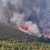 الحرائق تأتي على 1620 هكتار من غابات الشمال خلال 2023