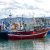 ميناء طنجة.. تراجع كمية مفرغات الصيد البحري بنسبة 30% حتى متم أبريل