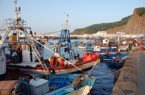 لقاء بطنجة بين مهنيي الصيد التقليدي المغاربة والإسبان لتعزيز إدارة الموارد السمكية